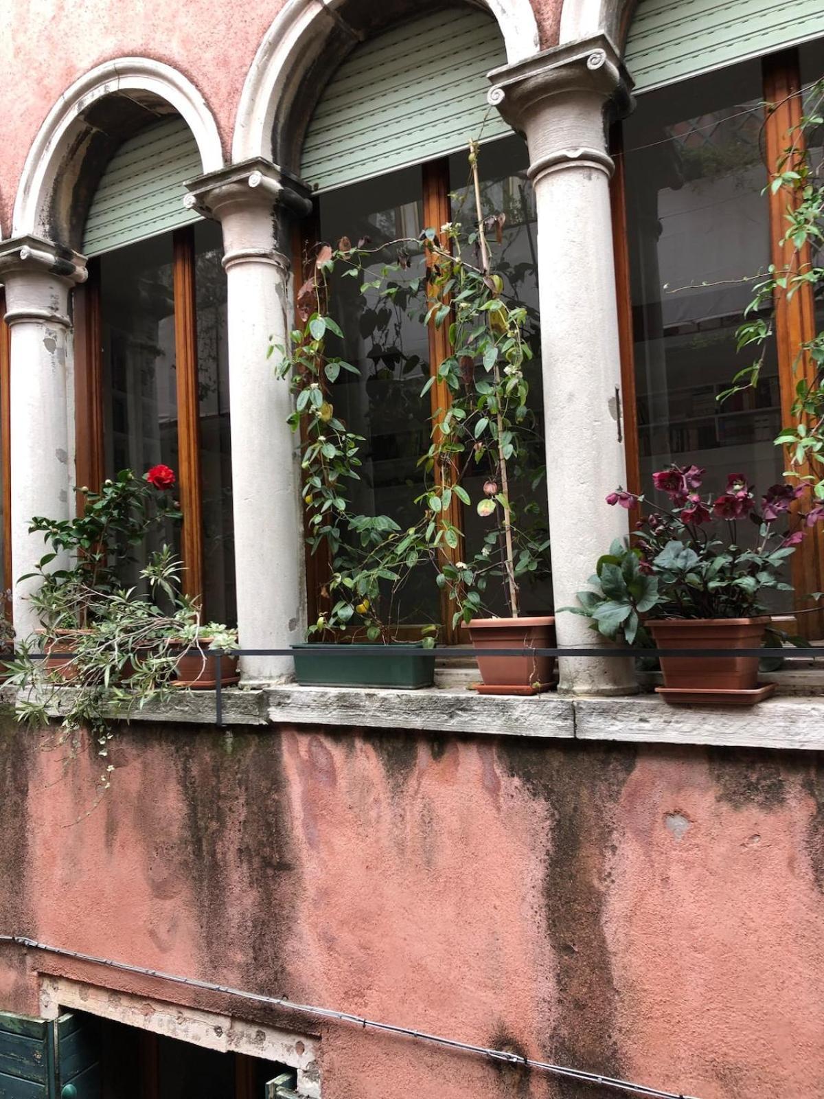 The Magic Of From A Cute Loft Apartment Venedig